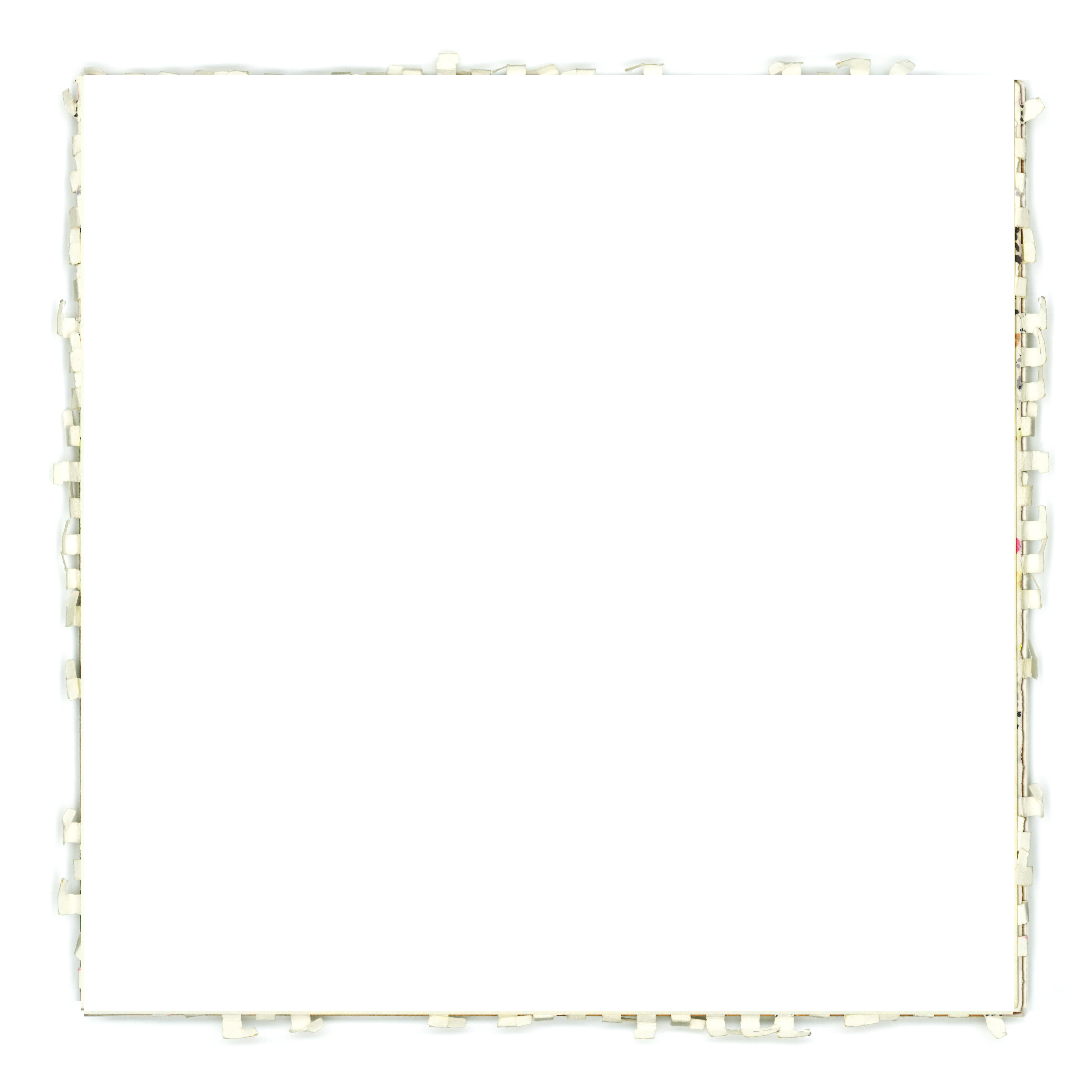 blank frayed final art