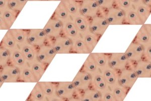 houndtoothed kaleidoscope