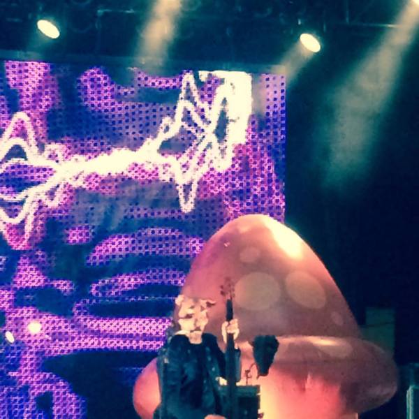 Primus Stone Pony 07.24.2015 1