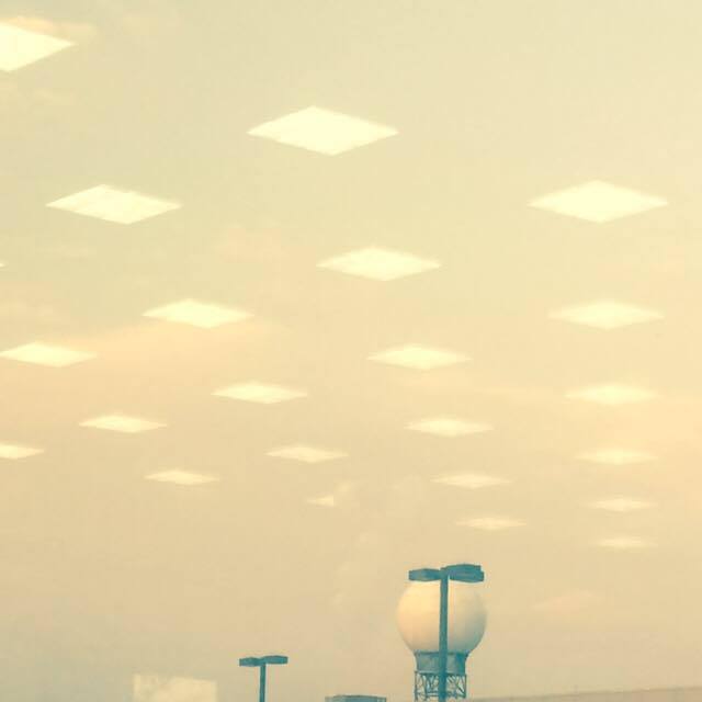 Toyota White on White