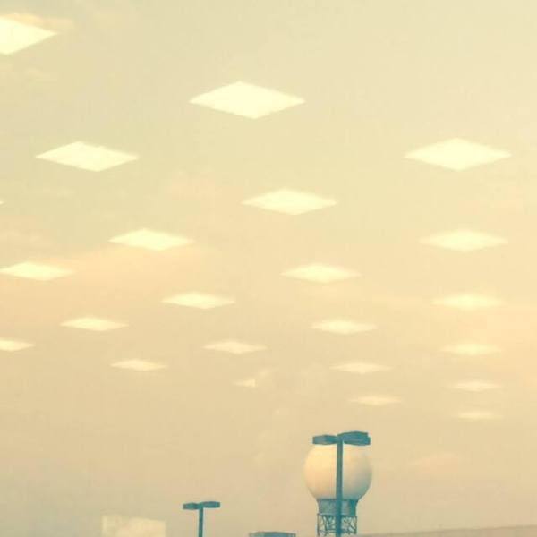 Toyota White on White